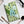 Laden Sie das Bild in den Galerie-Viewer, Spiralnotizbuch Bubble & Fish
