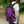 Laden Sie das Bild in den Galerie-Viewer, Rucksack - Kollektion Abstract