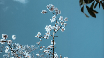 Sommerhimmel im August