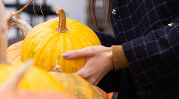 Der flammende Oktober