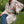 Laden Sie das Bild in den Galerie-Viewer, Kimono Garden of Spring Flowers Rosé im sitzen
